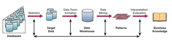 Custom data mining for businesses